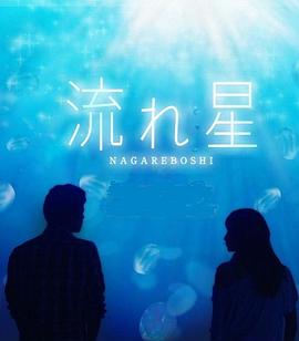 流星的海报