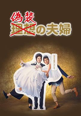 伪装夫妇的海报