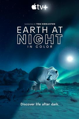 夜色中的地球第二季的海报