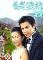 你是我的老婆的海报