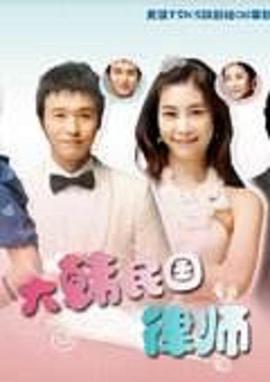 大韩民国律师的海报