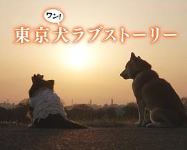 东京犬爱情故事的海报