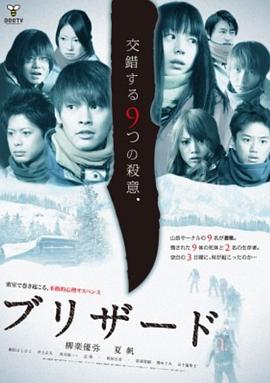 暴风雪的海报