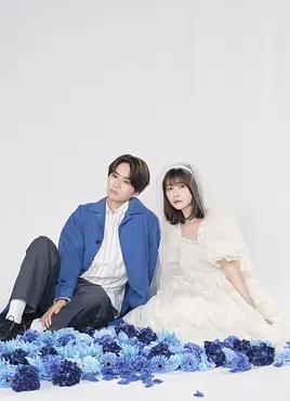 我们假结婚吧的海报