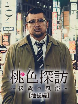 桃色探访的海报