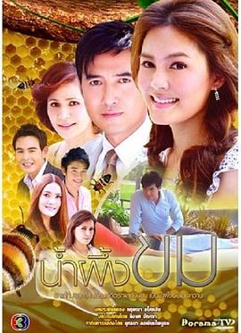 苦蜜2009的海报