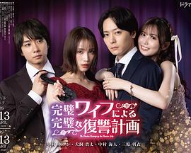 完美妻子的完美复仇计划的海报