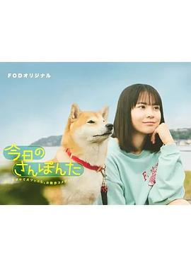今日份的散步的海报