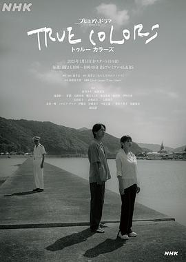 本色的海报