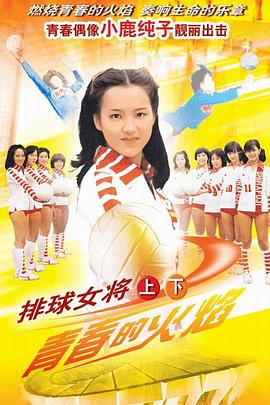 排球女将的海报